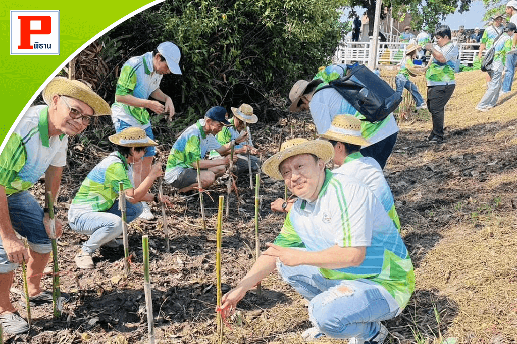 กิจกรรม 'TYE อาสาพาไปปลูก' และ 'ร่วมพัฒนาป้อมผีเสื้อสมุทร'